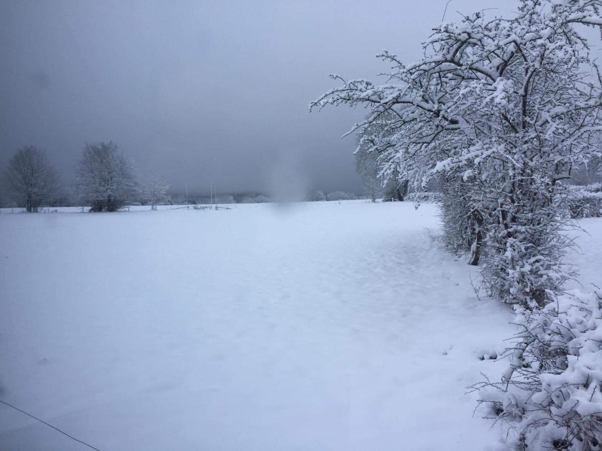 Le Diamanster Francorchamps Villa Stavelot Kültér fotó